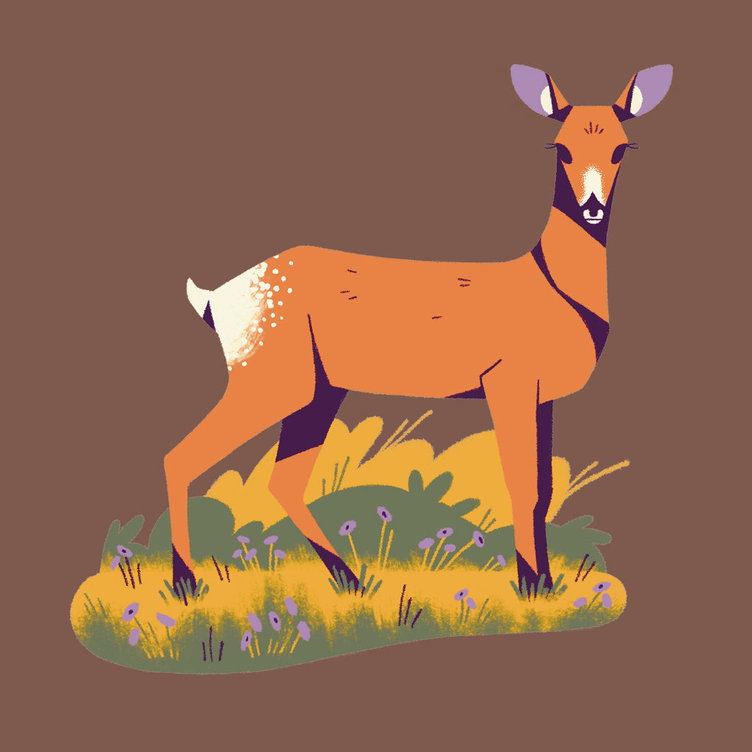 Dundee Design Festival Stickers