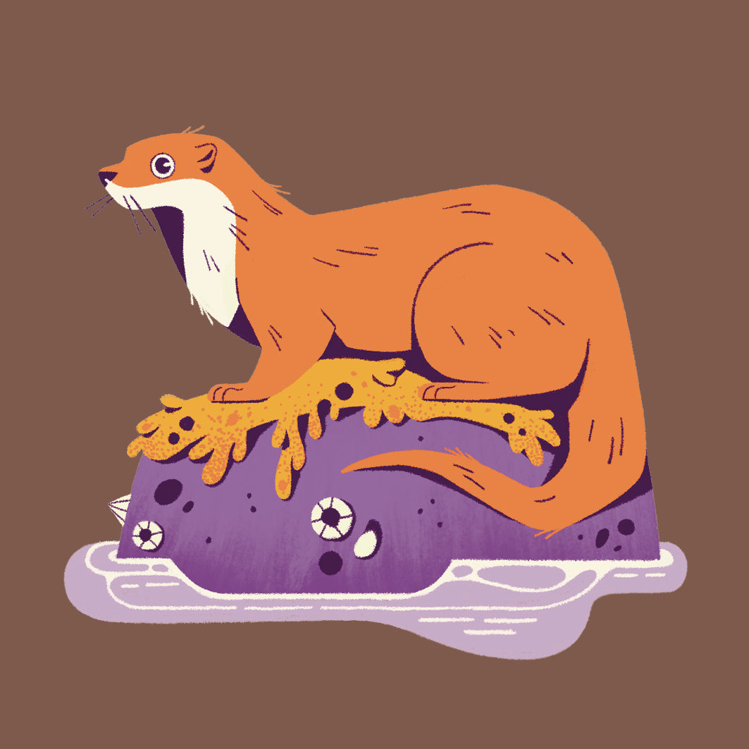 Dundee Design Festival Stickers