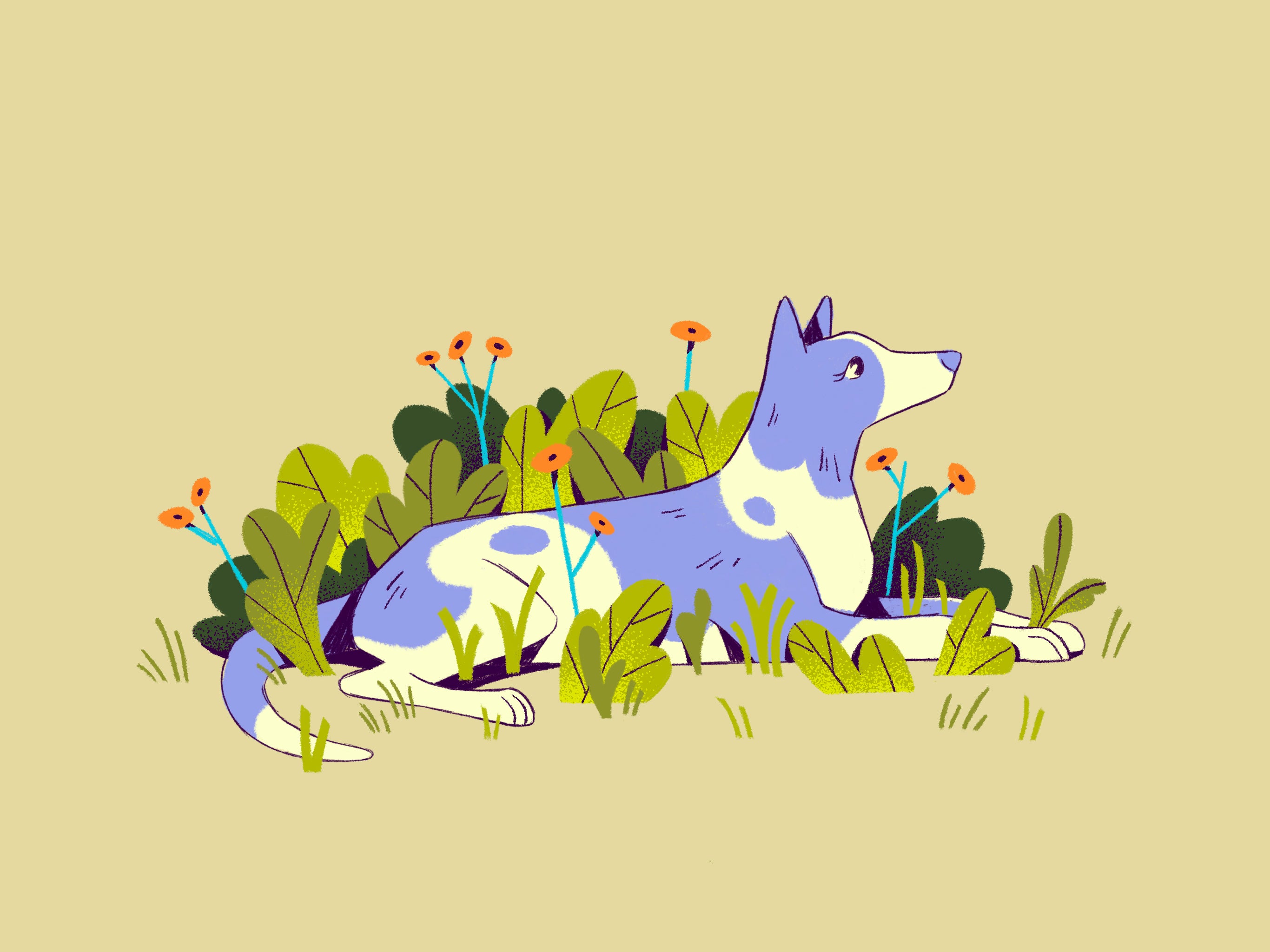 Nice Wee Animal Guys