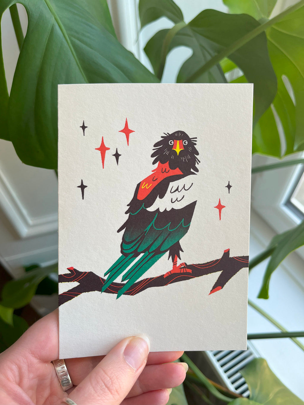 Bateleur Eagle greetings card -- card with a colorful eagle illustration held by a hand in front of green plants.