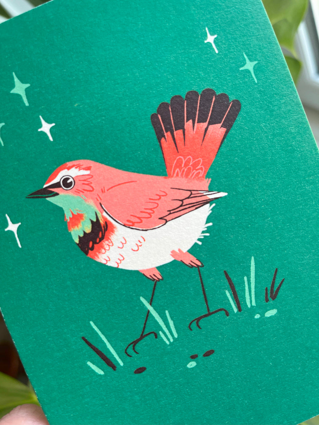 Bluethroat greetings card -- close-up of an Illustration of a bird on a green background.