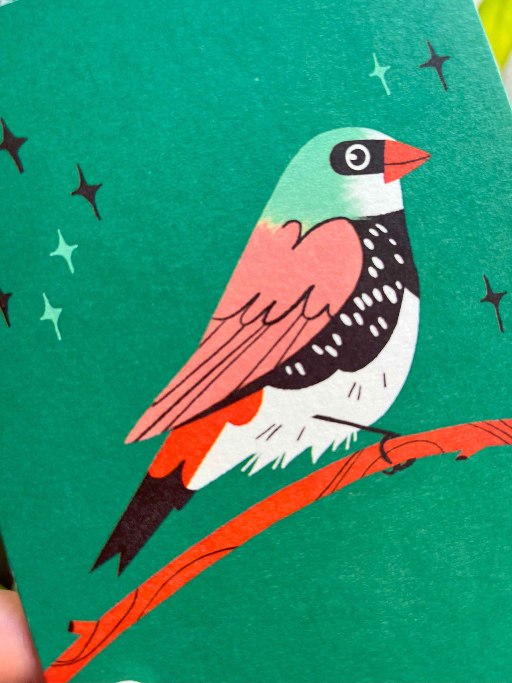 Diamond Firetail greetings card -- close-up of a colorful bird illustration on a green background with star patterns.