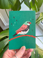 Diamond Firetail greetings card -- green card with a bird illustration held in front of green plants.