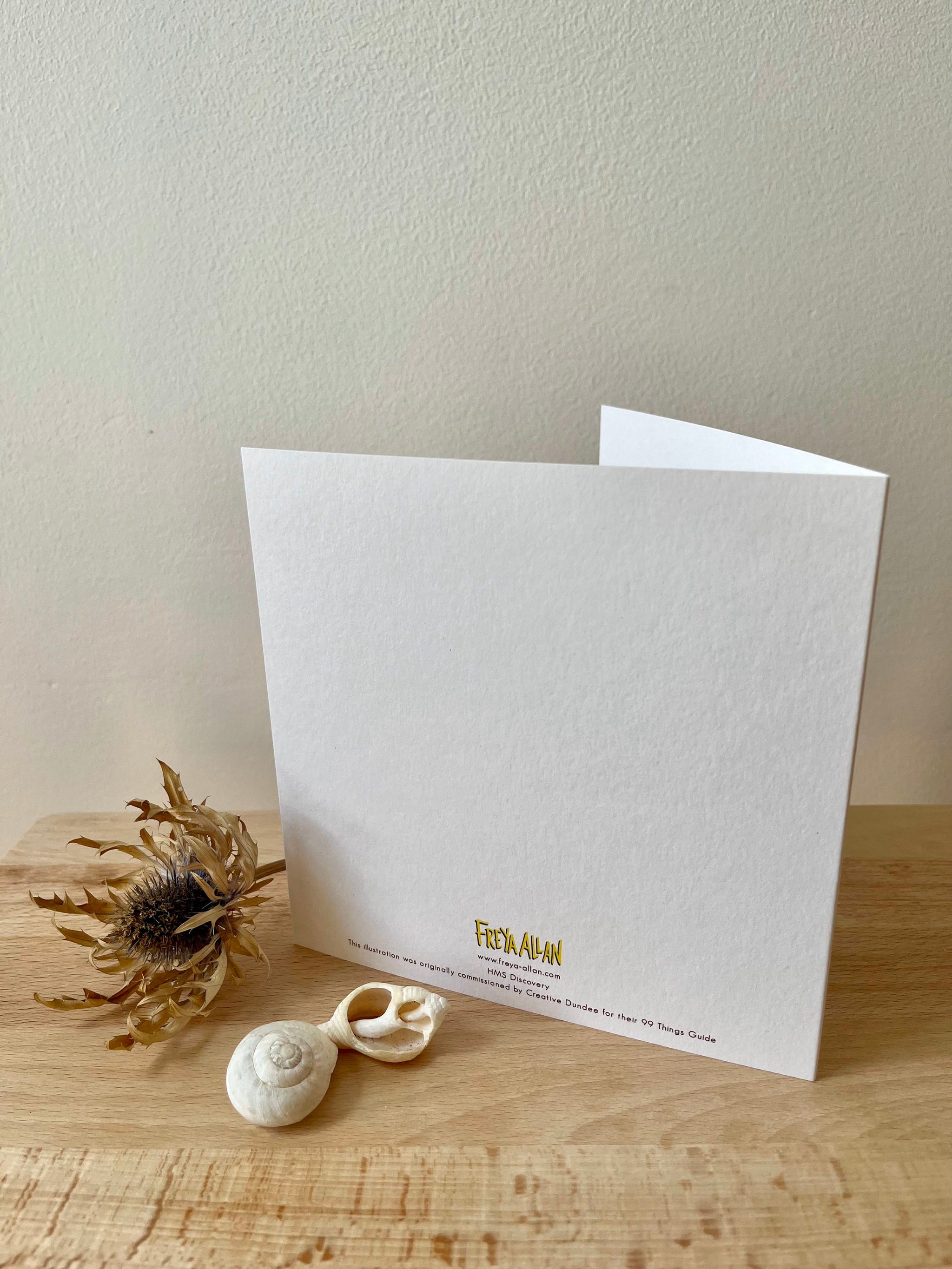 Discovery greetings card -- back of a white greeting card with gold text on a wooden surface with a shell and dried plant.