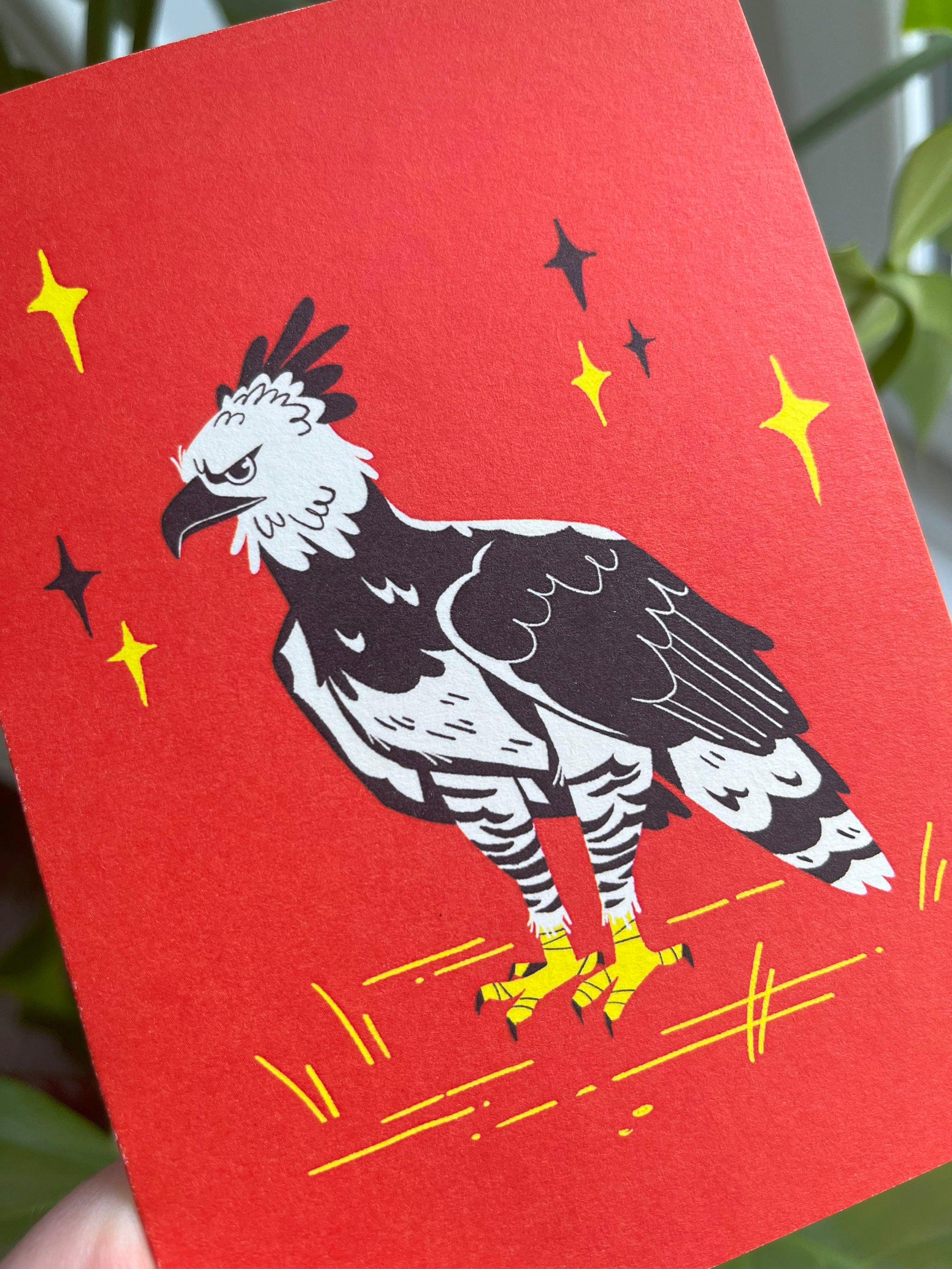 Harpy Eagle greetings card -- close-up of a card with an illustration of an eagle on a red background.