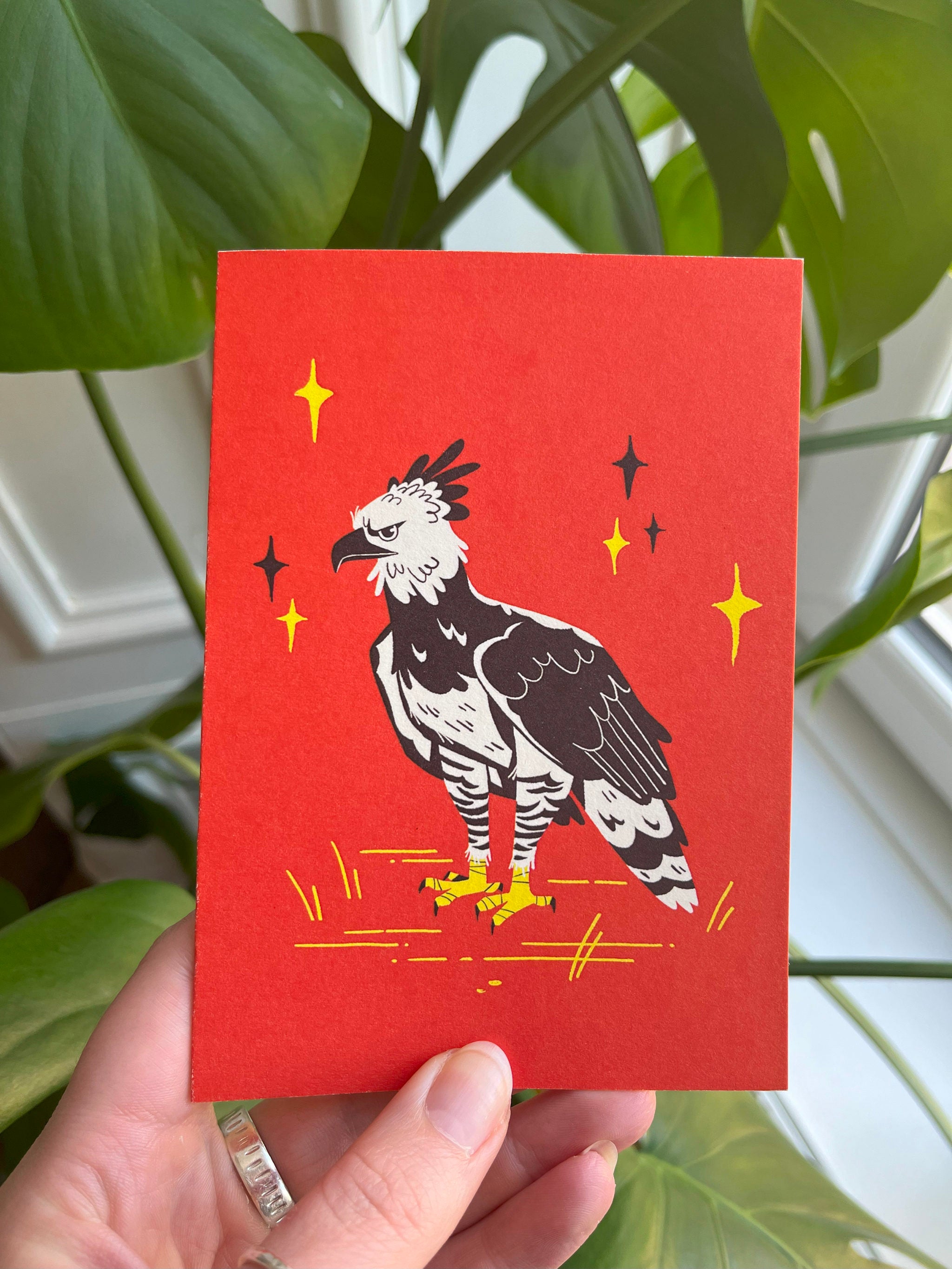 Harpy Eagle greetings card -- red card with a black and white bird illustration held by a hand in front of green foliage. 