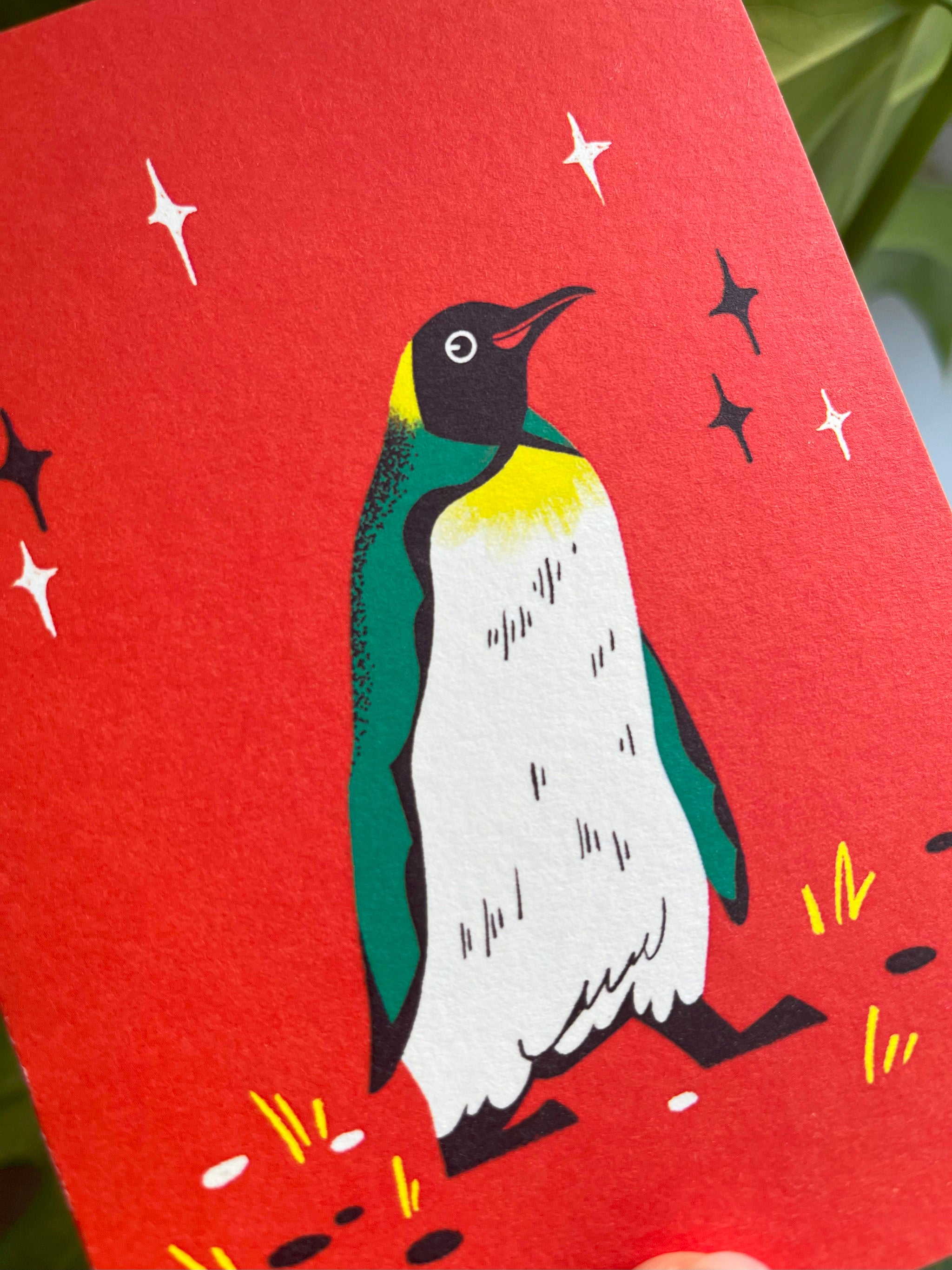 IKing Penguin greetings card -- close-up of an ilustration of a penguin on a red background with star-like shapes.