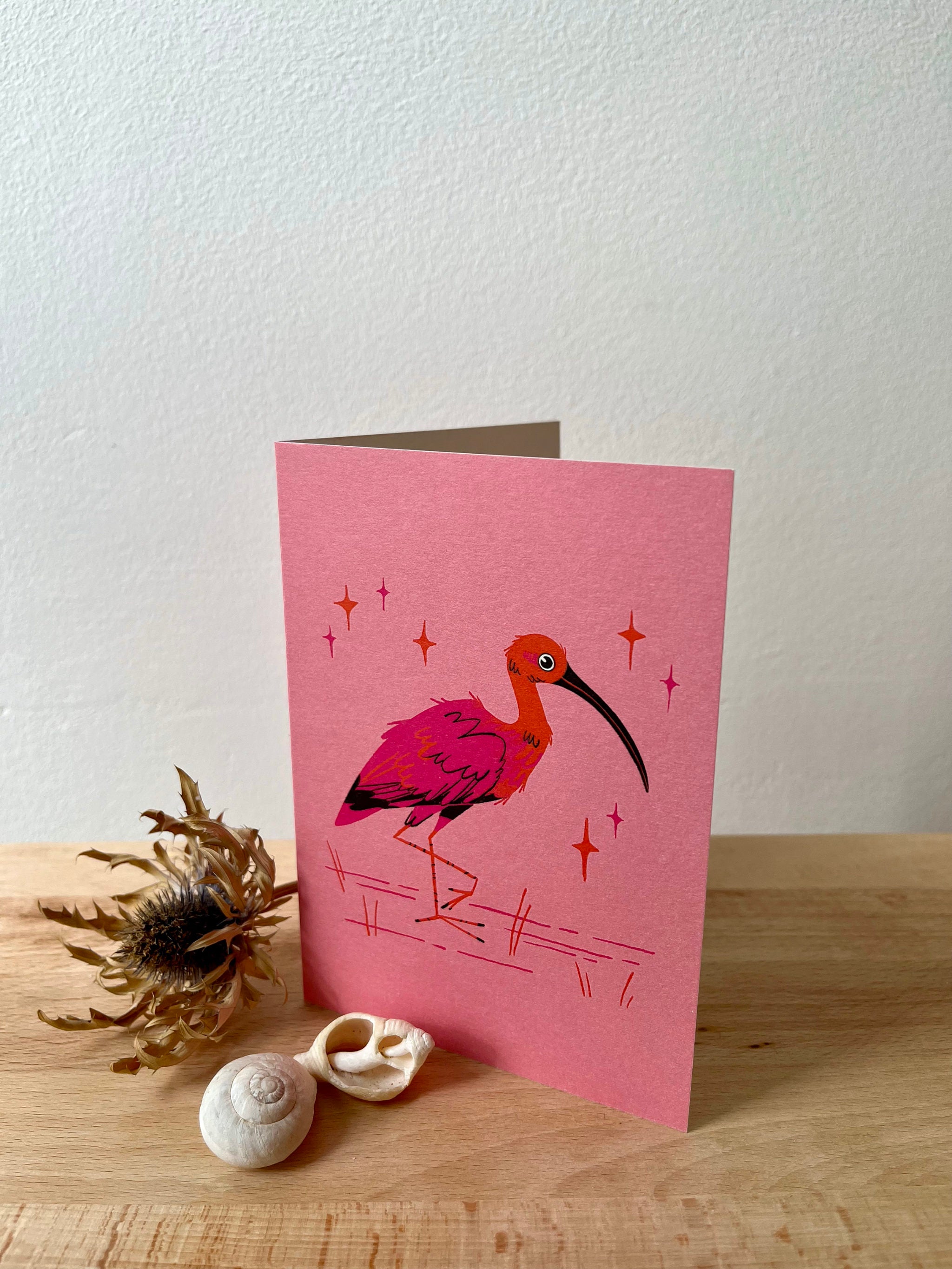 Scarlet Ibis greeting card.