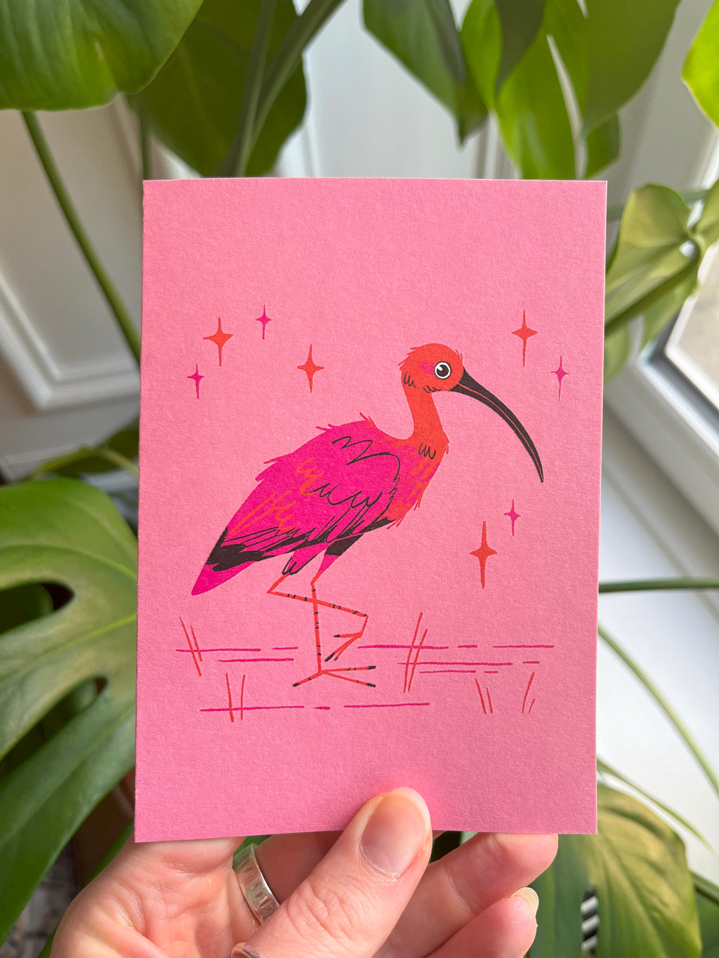 Scarlet Ibis greeting card -- pink card with a colorful ibis illustration held in front of green plants.