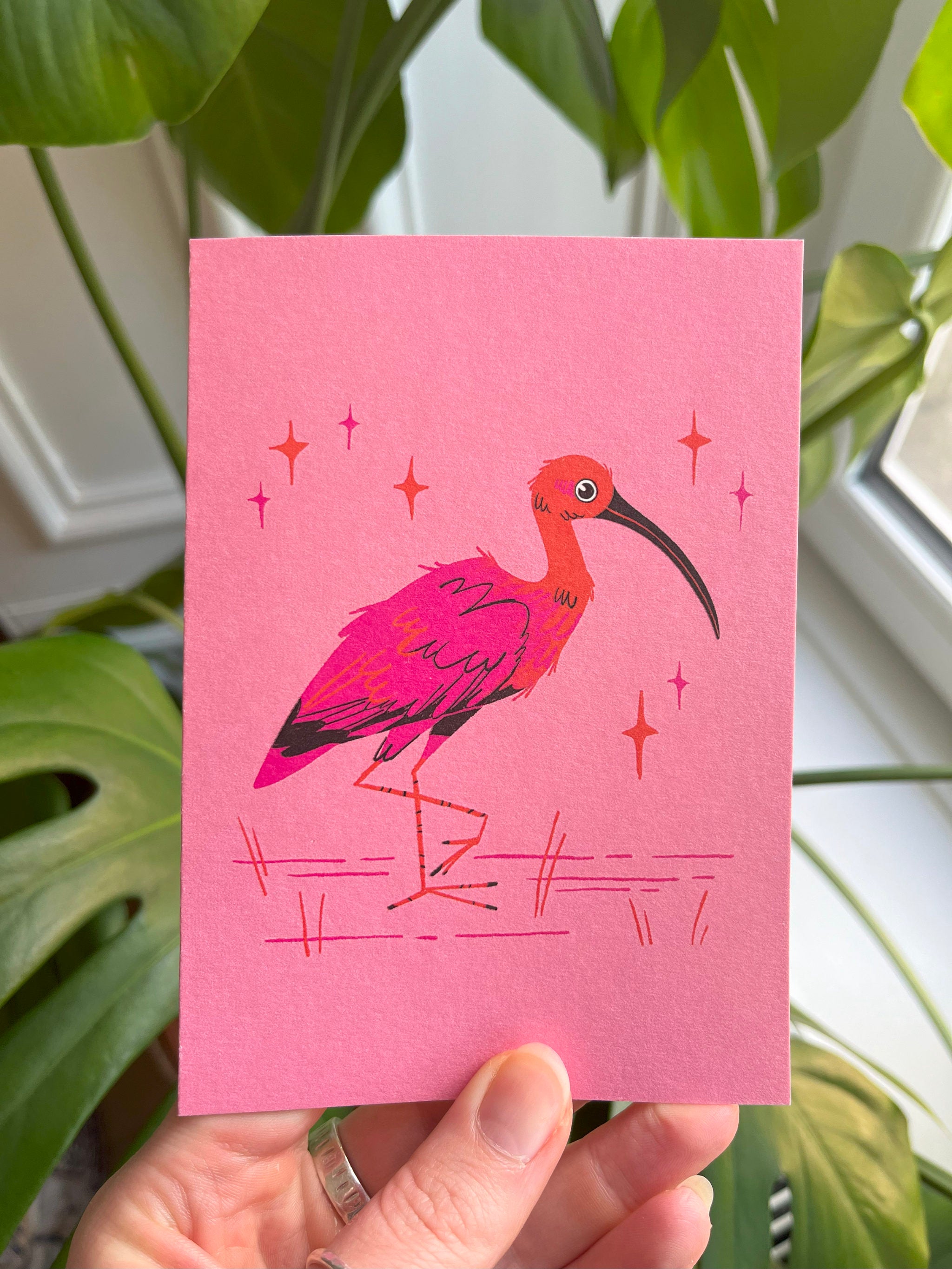 Scarlet Ibis greeting card -- pink card with a colorful ibis illustration held in front of green plants.