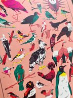 Birds print -- close-up of a pattern of colorful birds on a pink background.