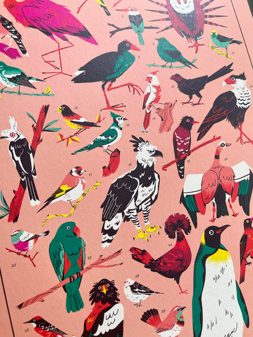 Birds print -- close-up of a pattern of colorful birds on a pink background.