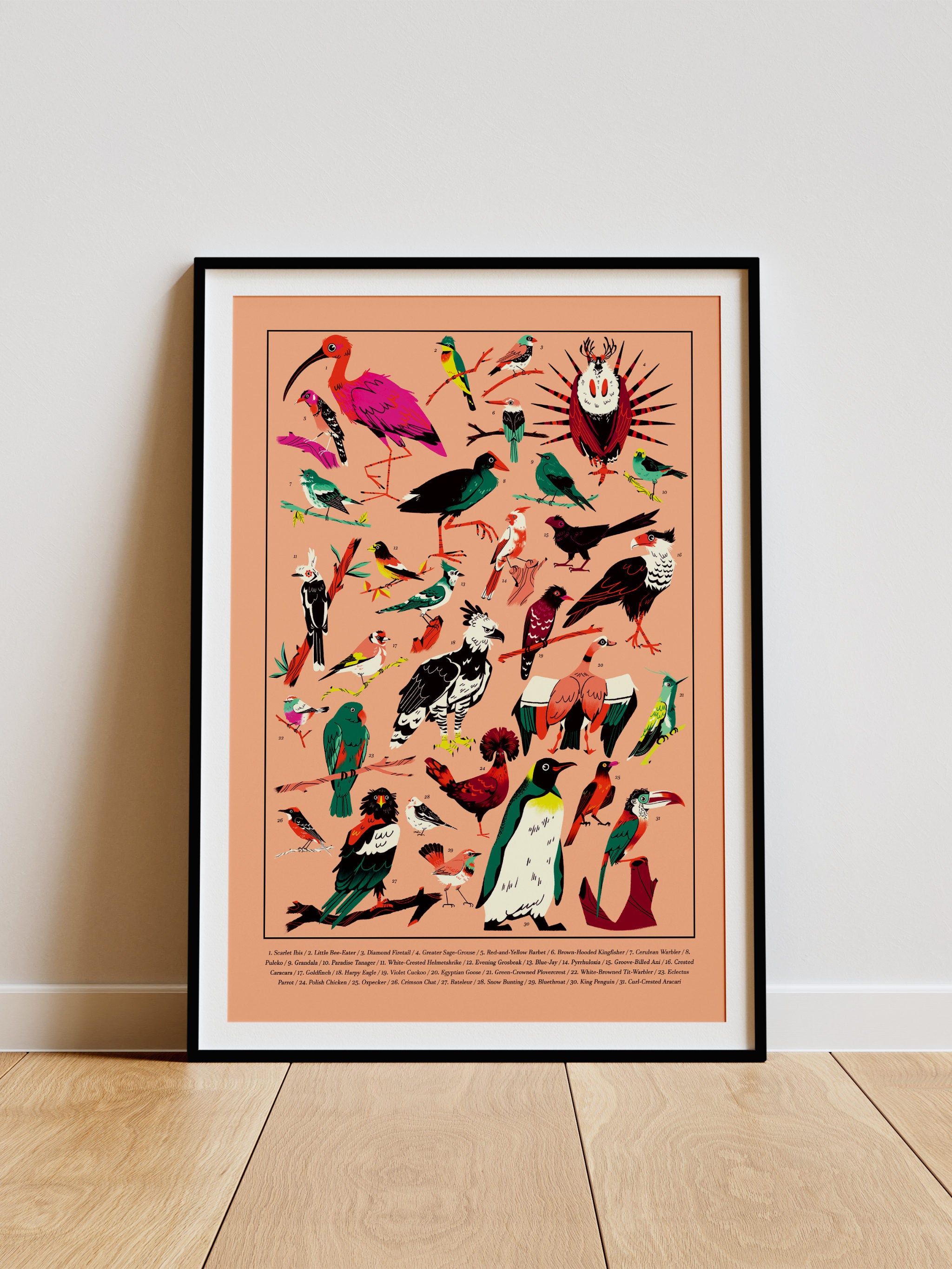 Birds print --framed colorful bird illustrations on a peach background.