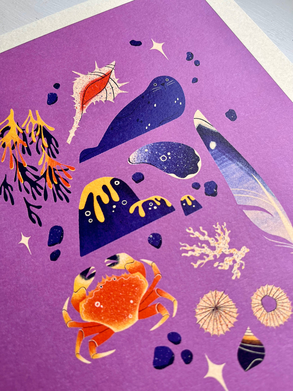 Plockton print -- close-up of Illustrations of sea creatures and plants on a purple background.
