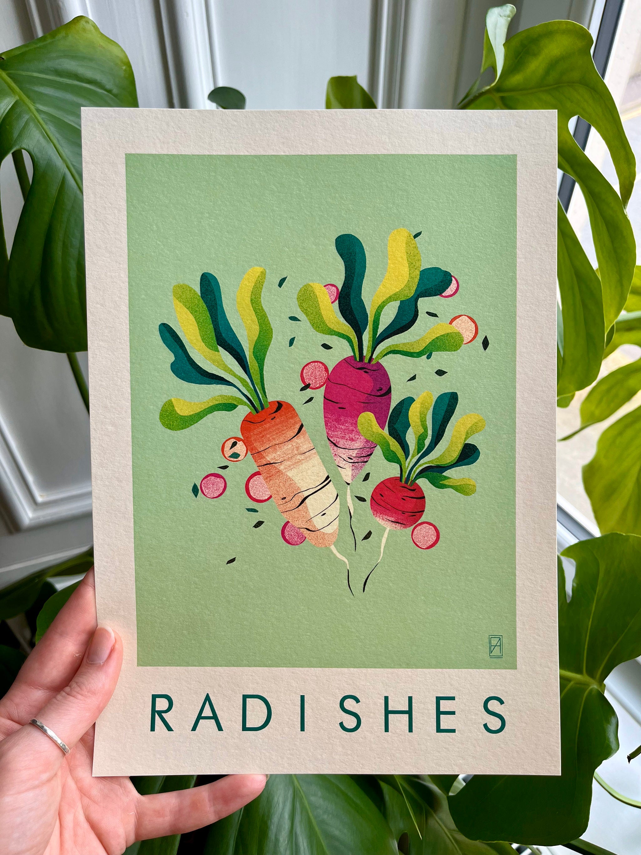 Radishes print -- A4 illustration of radishes on a green background held by a hand with plants in the background.