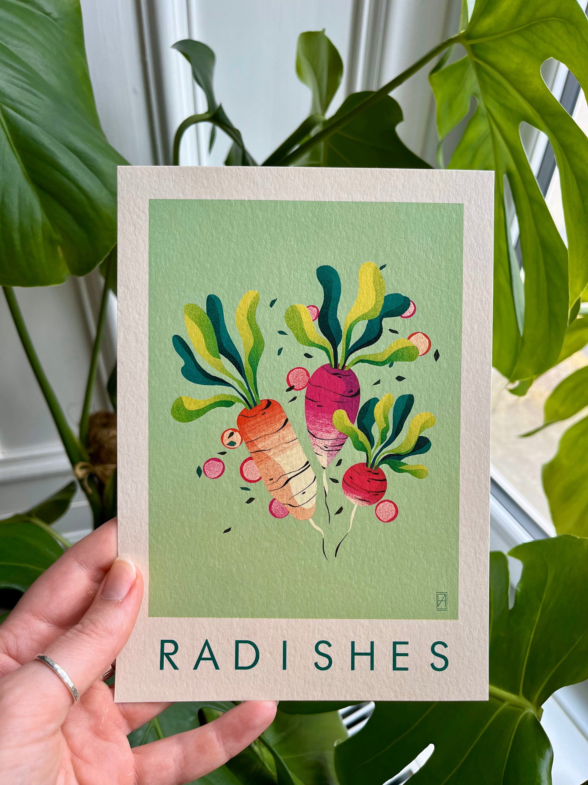 Radishes print --  A5 card with colorful radish illustration held by a hand in front of green leaves.