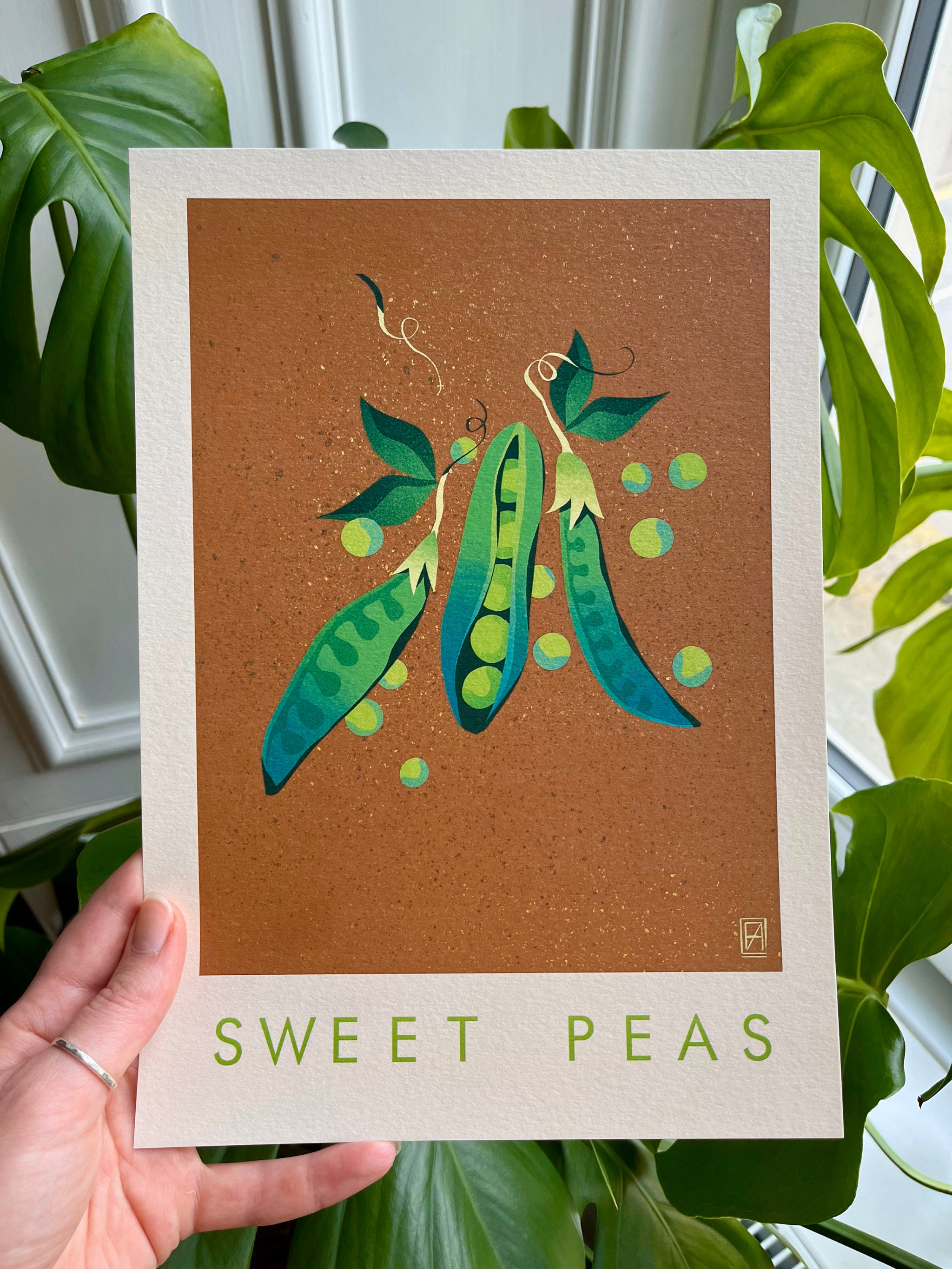 Sweet Peas print -- framed A4 artwork of sweet peas on a brown background held by a hand with green leaves in the background.