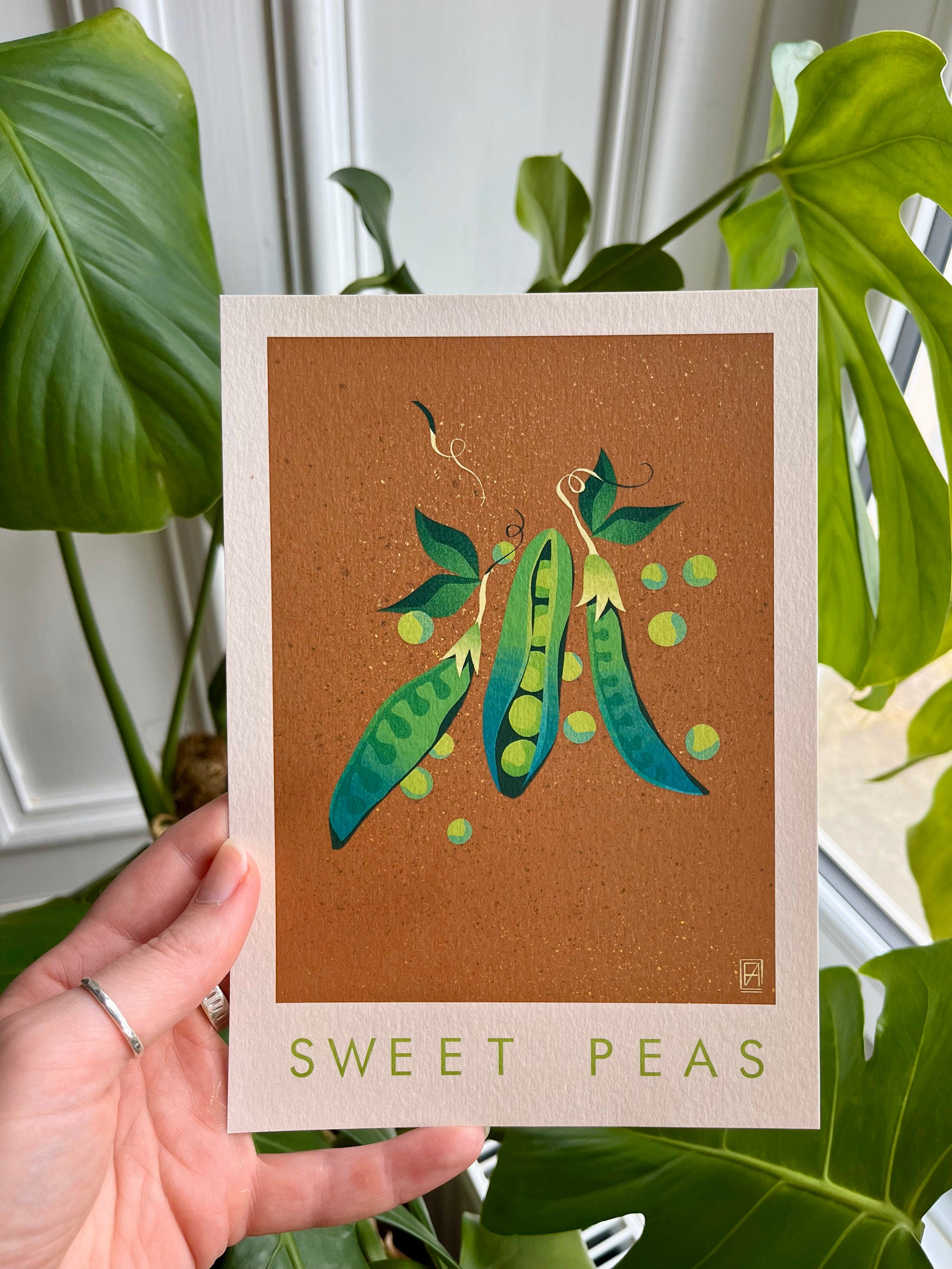 Sweet Peas print -- framed A5 artwork of sweet peas on a brown background held by a hand with green leaves in the background.