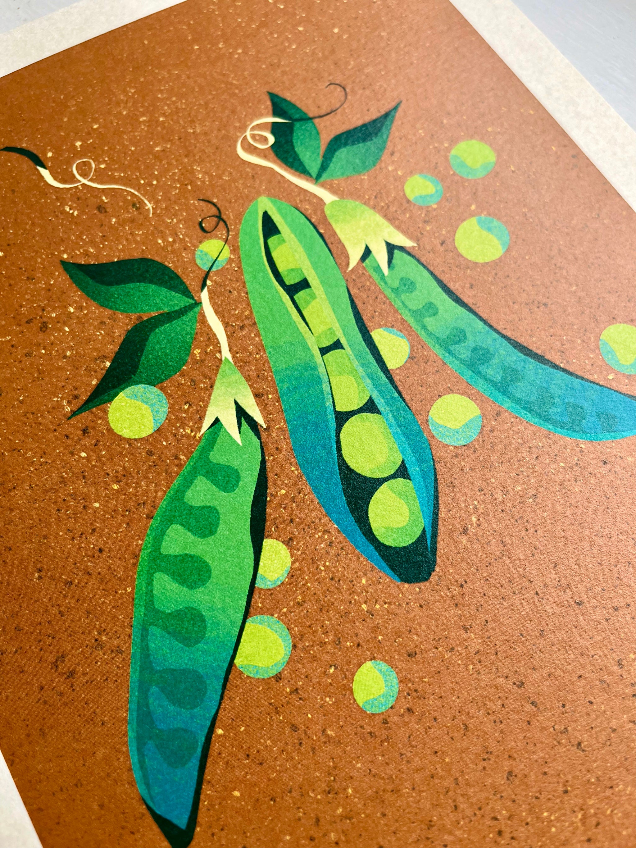 Sweet Peas print -- close-up of an Illustration of green peas in pods on a brown background.