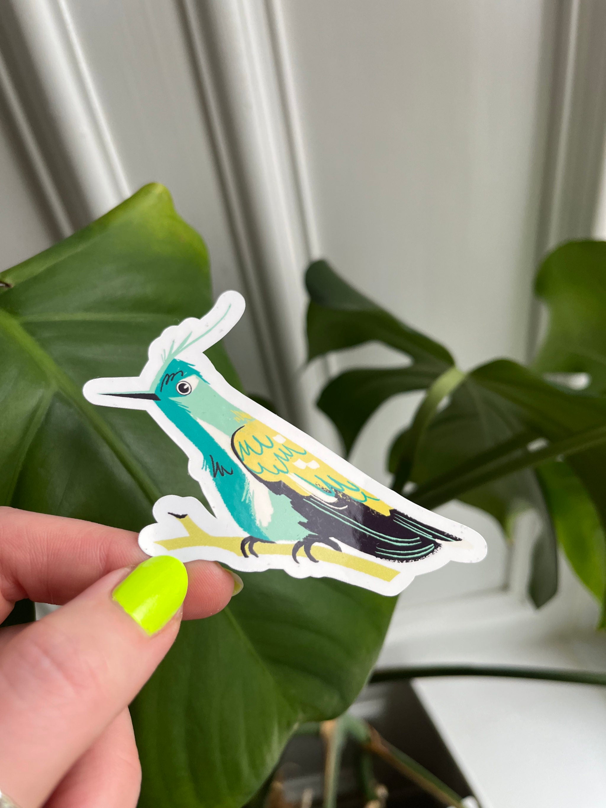Green-crowned Plovercrest sticcker --hand holding a colorful bird sticker with green leaves in the background.
