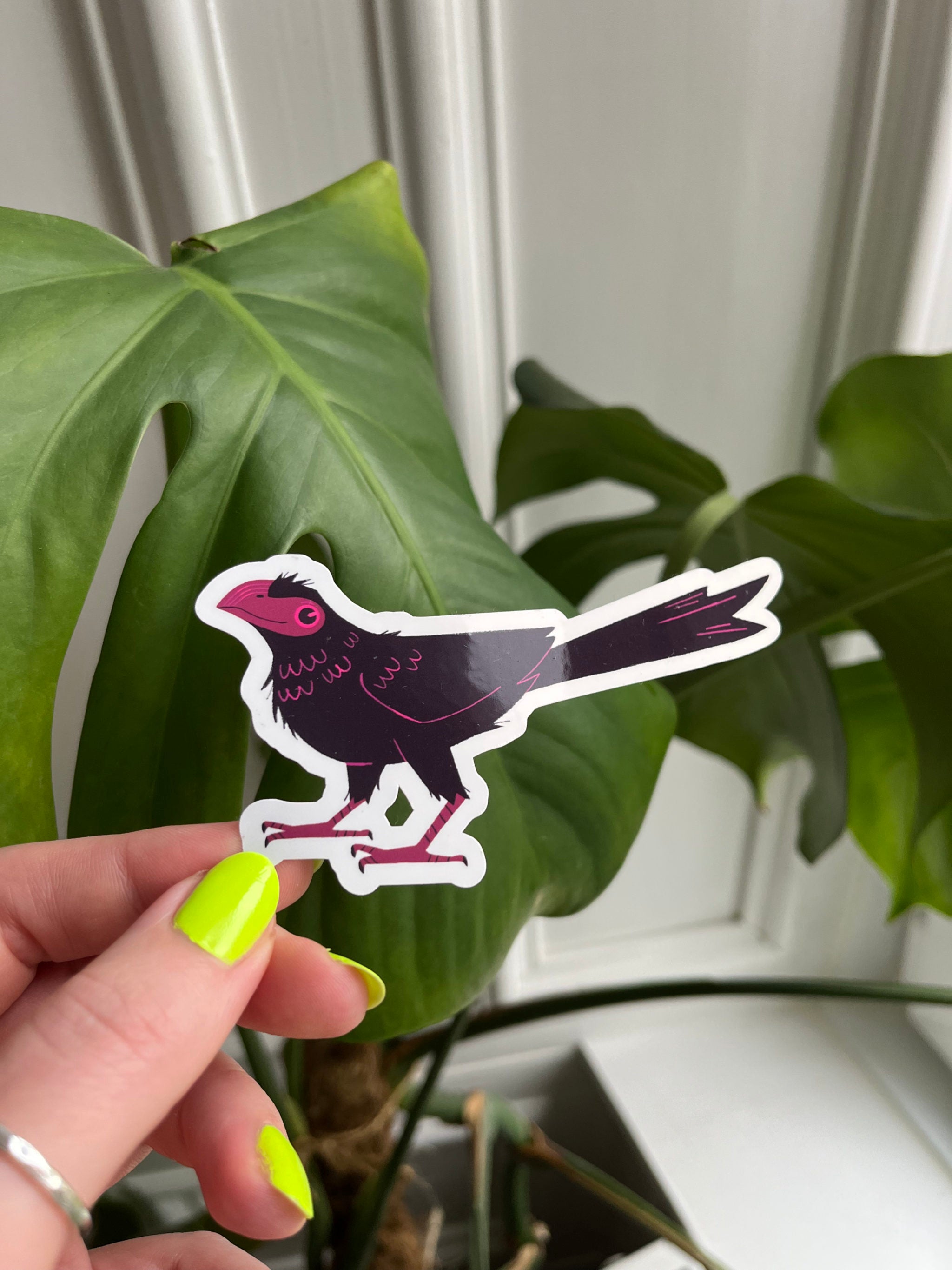 Groove-billed Ani sticker -- hand holding a sticker of a purple bird with a pink face against a green leafy background.