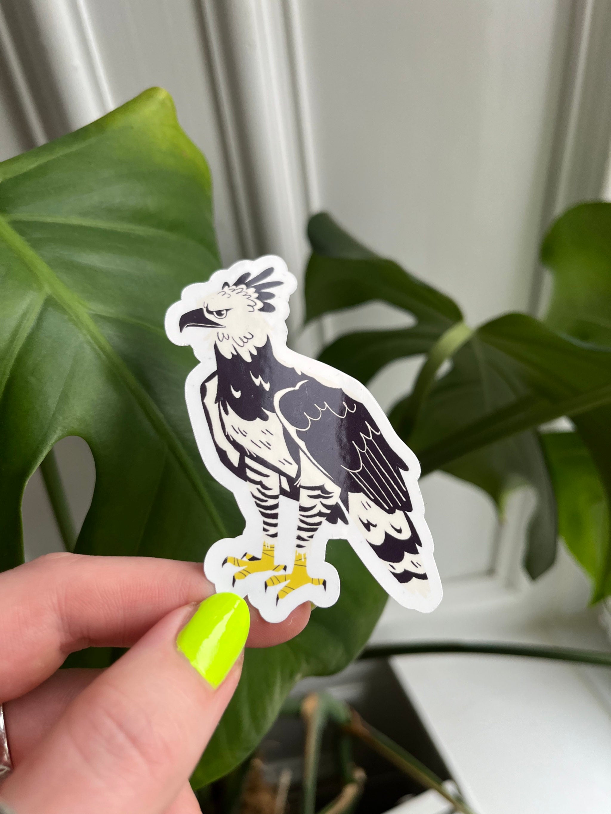 Harpy Eagle sticker -- hand holding a sticker of an eagle against a green leafy background.