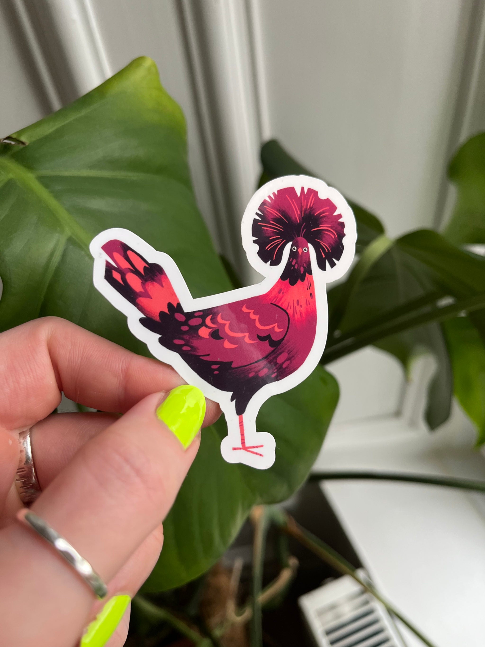 Polish Chicken sticker -- hand holding a colorful rooster sticker with green leaves in the background